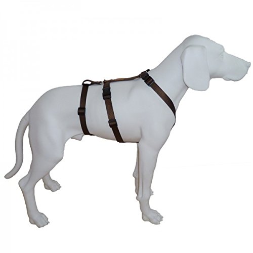 Feltmann NoExit Hundegeschirr® - ausbruchssicher, Panikgeschirr, Unifarben braun, Bauchumfang 50-65 cm, 20 mm Bandbreite von Feltmann