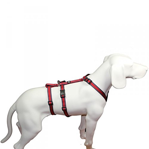 Feltmann NoExit Hundegeschirr® - ausbruchssicher, Panikgeschirr, rot Muster, Bauchumfang 50-65 cm, 20 mm Bandbreite von Feltmann