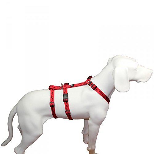 Feltmann NoExit Hundegeschirr® - ausbruchssicher, Panikgeschirr, rot mit schwarzen Pfötchen, Bauchumfang 60-80 cm, 25 mm Bandbreite von Feltmann