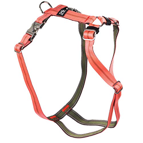 Feltmann Premium Hundegeschirr mit Alu-Max®-Metall-Steckschlössern, Soft-Nylonband orange Streifen 40-60 cm, 15 mm von Feltmann