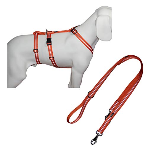 NoExit Hundegeschirr®, mit passender Führleine 210 cm, 3-Fach verstellbar - Reflexband orange, Bauchumfang 70-90 cm, 25 mm Bandbreite von Feltmann