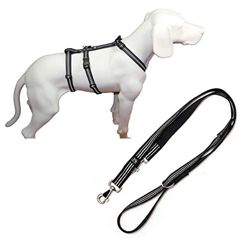 NoExit Hundegeschirr®, mit passender Führleine 210 cm, 3-Fach verstellbar- Reflexband schwarz, Bauchumfang 70-90 cm, 25 mm Bandbreite von Feltmann