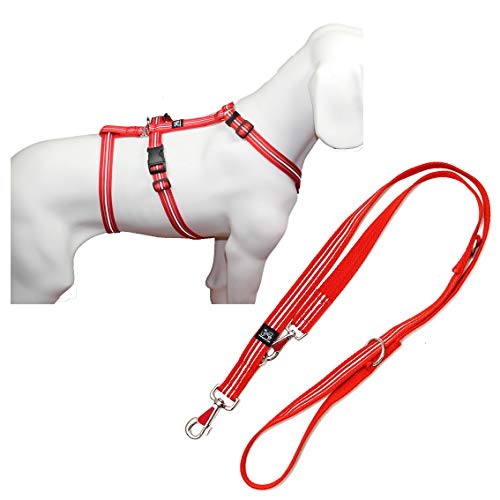 NoExit Hundegeschirr®, mit passender Führleine 210 cm, 3-Fach verstellbar - Reflexband rot, Bauchumfang 60-80 cm, 25 mm Bandbreite von Feltmann