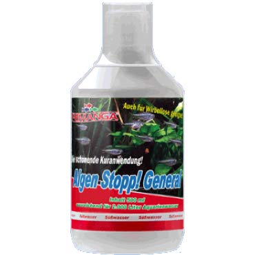 femanga algen Stop General 250ml von Femanga