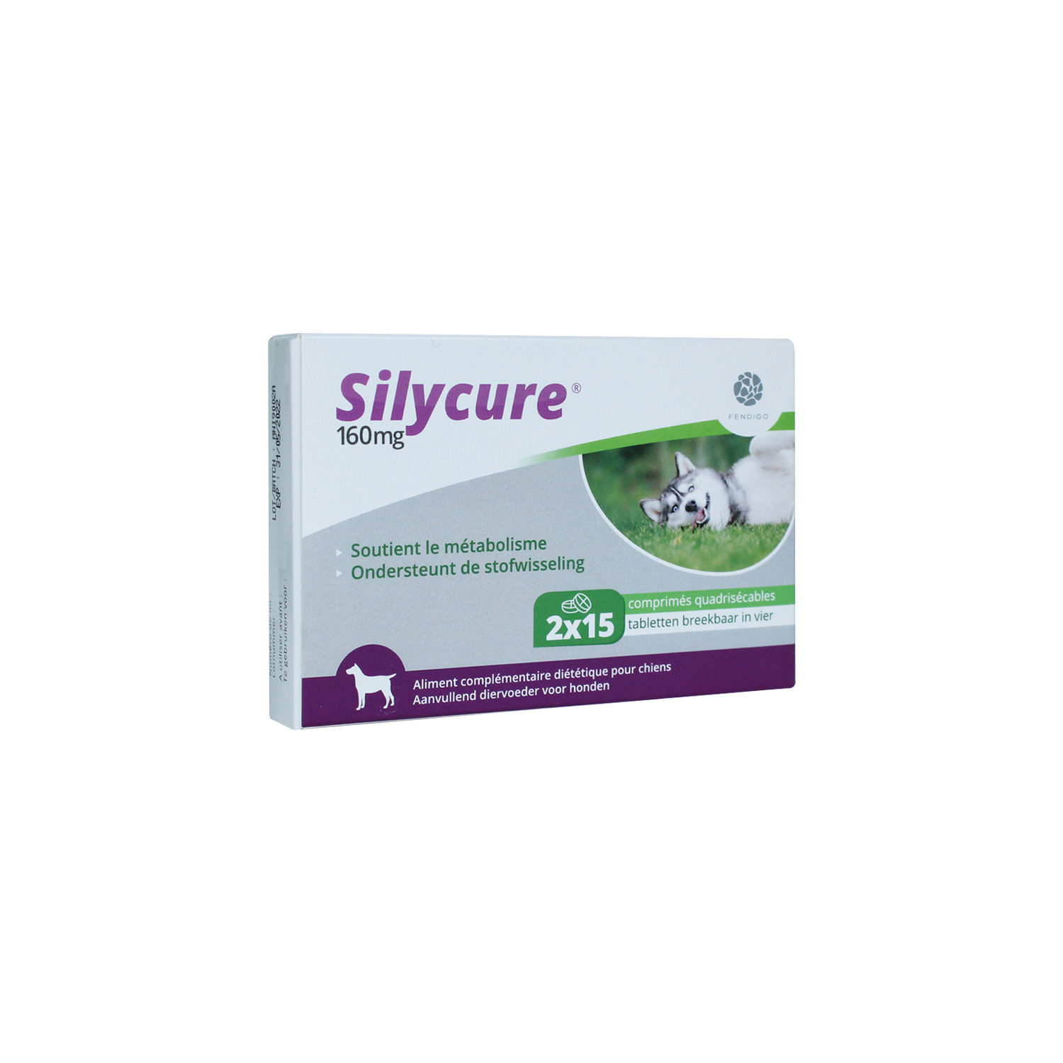 Silycure 160 mg - 30 Tabletten von Fendigo