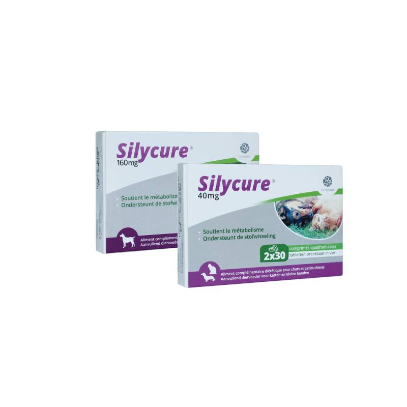 Silycure 160 mg - 30 Tabletten von Fendigo