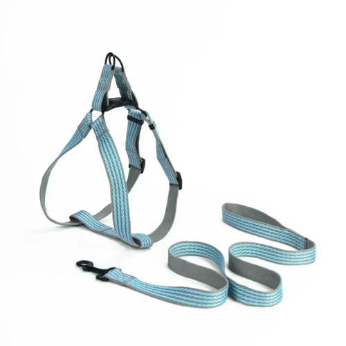 Einstellbare Hund Y Harness Atmungsaktive Reflektierende Welpen Harness Leine für Kleine Medium Große Hund Chihuahua Weste Labrador Pet Suppli von Fenhaodian