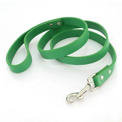 Lederleinen für Katzen und Hunde, Bunte Welpenleinen, Geschirr, Halsband, Führstrick für kleine, mittelgroße und große Hunde, Haustierbedarf 1,2 m von Fenhaodian