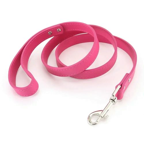 Lederleinen für Katzen und Hunde, Bunte Welpenleinen, Geschirr, Halsband, Führstrick für kleine, mittelgroße und große Hunde, Haustierbedarf 1,2 m von Fenhaodian
