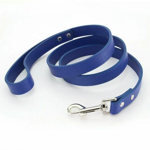 Lederleinen für Katzen und Hunde, Bunte Welpenleinen, Geschirr, Halsband, Führstrick für kleine, mittelgroße und große Hunde, Haustierbedarf 1,2 m von Fenhaodian