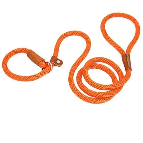 Robuste Hundeleine mit Schlupfleine, 1,8 m, Starke Seilleine für das Training Ihres Haustiers ohne Ziehen, ideal für kleine, mittelgroße und große Hunde Robuste Hundeleine mit Schlupfleine, 1,8 m, Starke Seilleine für das Training Ihres Haustiers ohne Ziehen, ideal für kleine, mittelgroße und große Hunde von Fenhaodian