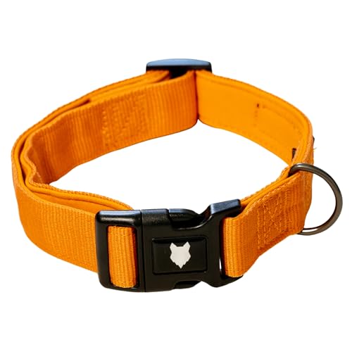 Fenrir RAGNAR Hundehalsband, Gepolstertes Neopren, Atmungsaktives Nylon Haustier Halsband Einstellbar für alle Hunderassen und Größen (Orange, L) von Fenrir