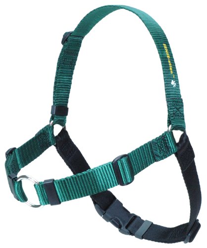 Softouch Sense ation Hundegeschirr, kein Ziehen, Größe M, L, Grün Softouch Sense ation Hundegeschirr, kein Ziehen, Größe M, L, Grün von Fenrir
