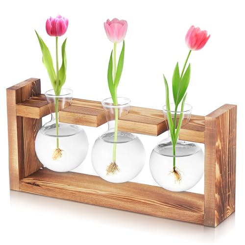 Fentar Ableger Pflanzen Glas, Propagation Station mit Vintage Holzsockel, 3Stk Kleine Vasen für Tischdeko Wohnkultur, Hydroponische Vase, Schön Vermehrungsstation Pflanzen für Hydrokultur Tischdeko von Fentar