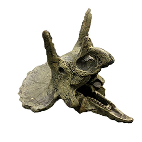 Fenteer Aquarium Ornament Resin Tierkopf Knochen Schädel Zubehör, Dreieck Drachenschädel von Fenteer