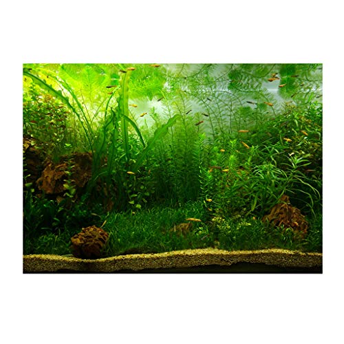 Fenteer Aquarium Stein/Aquarium Wasserdichter PVC Stein 122x61cm, Wasserpflanzen, 122x61cm von Fenteer