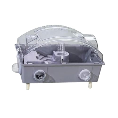 Fenteer Hamsterkäfig, Kleintierkäfig mit Wasserflasche, 2-stöckig, Oben zu öffnender Lebensraum für Mäuse, Meerschweinchen, Ratten, Kleintiere, Grau Fenteer Hamsterkäfig, Kleintierkäfig mit Wasserflasche, 2-stöckig, Oben zu öffnender Lebensraum für Mäuse, Meerschweinchen, Ratten, Kleintiere, Grau von Fenteer