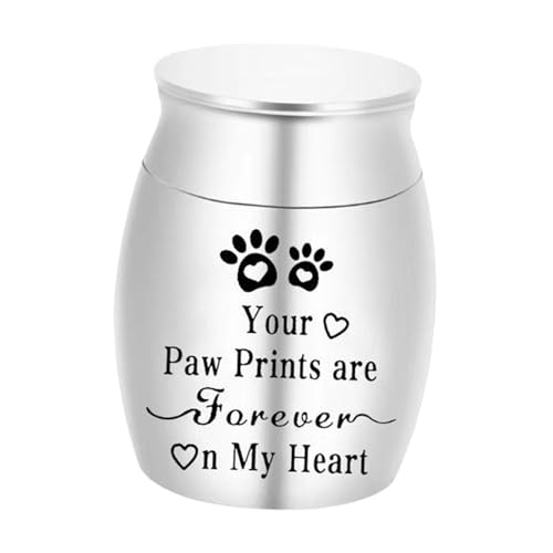 Fenteer Haustierurne, Feuerbestattungsurne, Aufbewahrungsbehälter, kleine Hundeurne für Asche, Katzenaschenhalter für Hunde, Katzen, kleine Tiere, Welpen, Silber Fenteer Haustierurne, Feuerbestattungsurne, Aufbewahrungsbehälter, kleine Hundeurne für Asche, Katzenaschenhalter für Hunde, Katzen, kleine Tiere, Welpen, Silber von Fenteer
