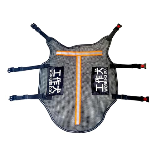 Fenteer -Hundeweste, Jacke, Welpengeschirr, Mesh-Training, reaktiv, austauschbares Etikett, Haustierweste, Hundegeschirr zum Wandern im Sommer, Orange M Fenteer -Hundeweste, Jacke, Welpengeschirr, Mesh-Training, reaktiv, austauschbares Etikett, Haustierweste, Hundegeschirr zum Wandern im Sommer, Orange M von Fenteer