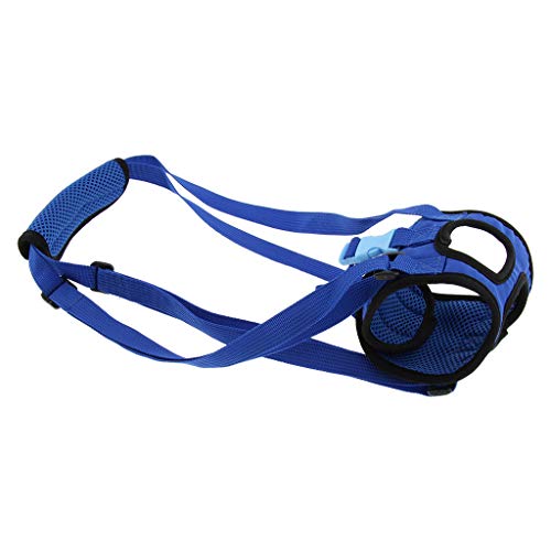 Fenteer Pet Dog Hinterbein Auxiliary Belt Harness Restraint Mobility Support Harness Blau, S von Fenteer