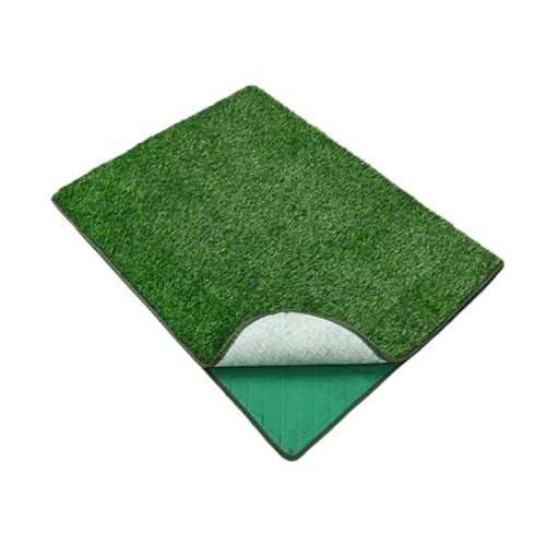 Fenteer Rasenmatte für Haustiere, Rasenmatten-Zubehör, tragbar, multifunktional, für den Innen- und Außenbereich, für Terrassen, Katzen, 46x71cm Fenteer Rasenmatte für Haustiere, Rasenmatten-Zubehör, tragbar, multifunktional, für den Innen- und Außenbereich, für Terrassen, Katzen, 46x71cm von Fenteer