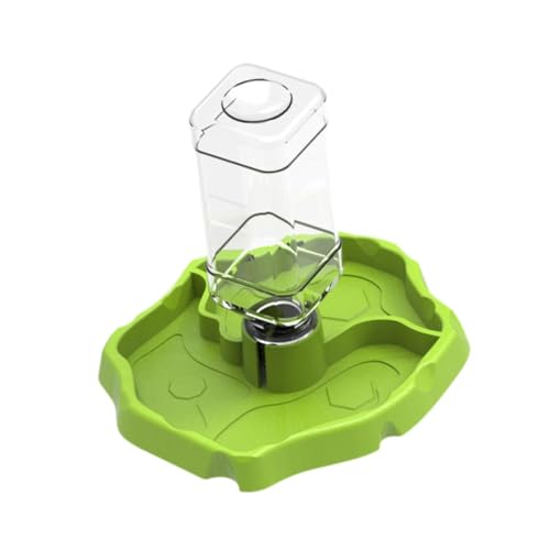 Fenteer Reptilien-Wasserschale Reptilienfutter-Futterschale Tränke Fütterungszubehör Haustier Automatischer Hydrator Amphibien-Trinkschale, Fruchtgrün von Fenteer