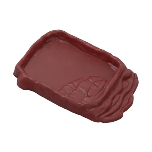 Fenteer Reptilienfutter Schüssel Feeder Anti Slip Turtle Badewasserstich Amphibien Fütterungsschale für Schildkröte Leopard Gecko Aquarium Ornament, L von Fenteer
