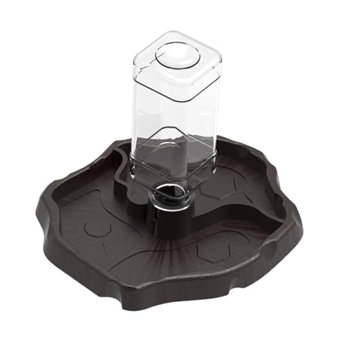 Fenteer Reptilienfutter- und Wassernapf, Futternapf, Robustes Schildkrötenzubehör, automatische Futterspender, Wasserspenderflasche für Hornfrösche, Kaffee von Fenteer