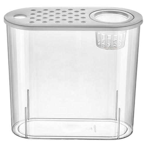 Fenteer Schreibtisch Aquarium Container Leicht Aufbewahrung Jar Terrarium Mini Fischtank für Home Terrapin Gecko Eidechsen Betta Fisch, Weißer Deckel von Fenteer