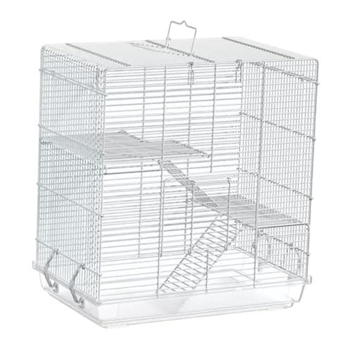 Fenteer Vogelkäfig aus Metalldraht, Vogelkäfig mit Griff und Treppe, Tisch-Papageienkäfig mit Abnehmbarer Bodenschale für, Tauben, Kanarienvögel Fenteer Vogelkäfig aus Metalldraht, Vogelkäfig mit Griff und Treppe, Tisch-Papageienkäfig mit Abnehmbarer Bodenschale für, Tauben, Kanarienvögel von Fenteer
