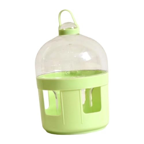 Fenteer Wasserspender für Tauben, Trinkflasche, Futterspender, Wasserspender, Vogeltränke, Wassertopf, Behälter für Unzertrennliche, Kampfhühner, Papageien, 2l von Fenteer
