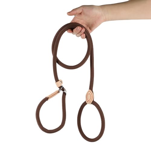 Ferizzia Hundeleine kleine Hunde Leicht, 10 mm x 180 cm Hundeleine, Robuste Trainingsleine, Verstellbare Leine, Wetterfest & Reißfest, für Kleine & Mittelgroße Hunde bis 20 kg von Ferizzia
