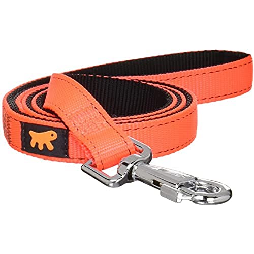 Ferplast 75173939 Hundeleine Dual G20/110 Colours, Länge: 110 cm, Breite: 2,0 cm, orange Ferplast 75173939 Hundeleine Dual G20/110 Colours, Länge: 110 cm, Breite: 2,0 cm, orange von Ferplast