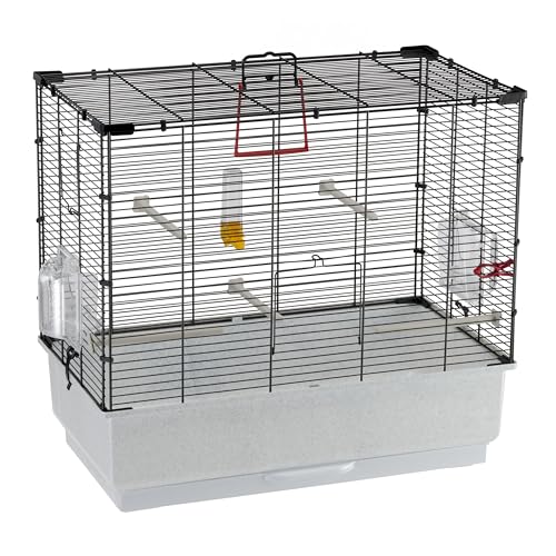 Ferplast Vogelkäfig Piano 4, Kanarienvogelkäfige, Kleiner Vogelkäfig, mit Vogelhäuschen, Vogeltränke, Wasserspender, 59 x 33 x H 55 cm, mit Zubehör, Abbnehmbarer Napf Ferplast Vogelkäfig Piano 4, Kanarienvogelkäfige, Kleiner Vogelkäfig, mit Vogelhäuschen, Vogeltränke, Wasserspender, 59 x 33 x H 55 cm, mit Zubehör, Abbnehmbarer Napf von Ferplast