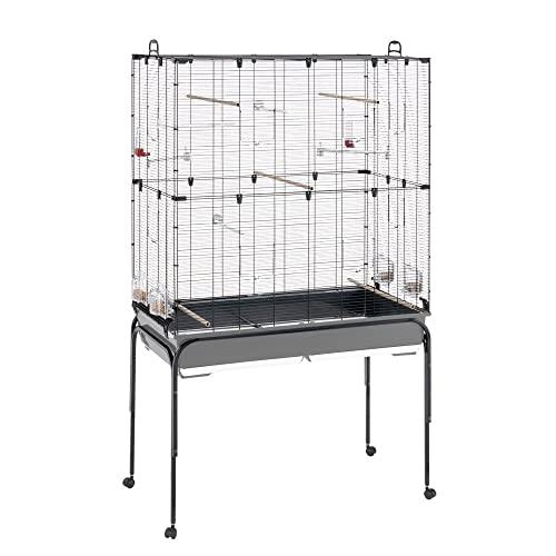 Ferplast Vogelkäfig Vogelvoliere Wellensittich Käfig Exotenkäfig, inkl. Stand mit Rädern, Vogel-Futternapf, Vogel-Sitzstangen, Schwarz, 100 x 53 x h172 cm Ferplast Vogelkäfig Vogelvoliere Wellensittich Käfig Exotenkäfig, inkl. Stand mit Rädern, Vogel-Futternapf, Vogel-Sitzstangen, Schwarz, 100 x 53 x h172 cm von Ferplast