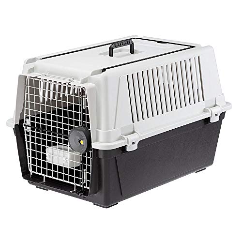 Ferplast Hundetransportbox Transportbox für mittelgroße Hunde ATLAS 40, Reisebox für Hunde, Sicherheitsverriegelung, Lüftungsgitter, 49 x 68 x h 45,5 cm Grau von Ferplast