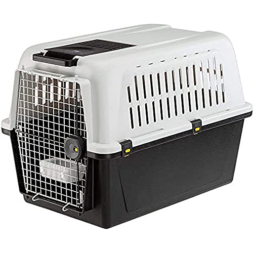 Ferplast Hundetransportbox Transportbox für mittelgroße Hunde ATLAS 50, Reisebox für Hunde, Sicherheitsverriegelung, Lüftungsgitter, 55,5 x 81 x h 59,5 cm Grau von Ferplast