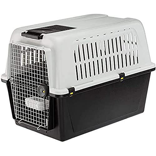 Ferplast Hundetransportbox Transportbox für mittelgroße Hunde Atlas 60, Reisebox für Hunde, Sicherheitsverriegelung, Lüftungsgitter, 61 x 91 x h 68 cm Grau von Ferplast