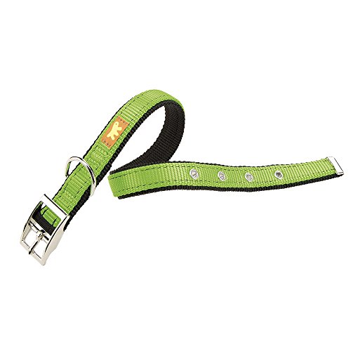 Ferplast 75167923 Hundehalsband Dual CF15/35 Colours, Halsumfang: 27-35 cm, Breite: 1,5 cm, grün Ferplast 75167923 Hundehalsband Dual CF15/35 Colours, Halsumfang: 27-35 cm, Breite: 1,5 cm, grün von Ferplast