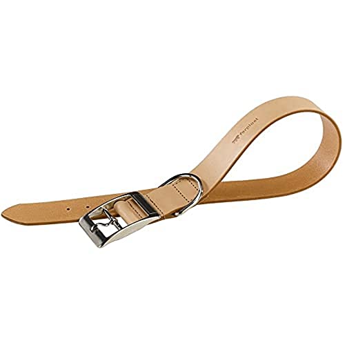 Ferplast Halsband Hunde Rindsleder echt Leder verstellbar Natural Ferplast Halsband Hunde Rindsleder echt Leder verstellbar Natural von Ferplast