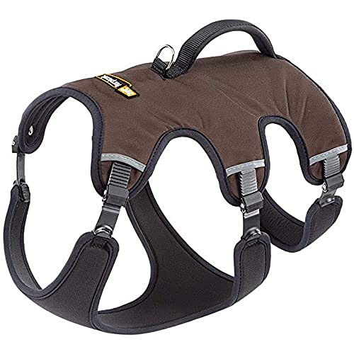 Ferplast Hundegeschirr Kleiner Hund ERGOTREKKING S, Ausbruchsicheres Hundegeschirr, Greyhound, Perfekte Passform, Verstellbares Geschirr für Hunde, Reflektierend, Gepolstert, 6 Verschlüsse Ferplast Hundegeschirr Kleiner Hund ERGOTREKKING S, Ausbruchsicheres Hundegeschirr, Greyhound, Perfekte Passform, Verstellbares Geschirr für Hunde, Reflektierend, Gepolstert, 6 Verschlüsse von Ferplast