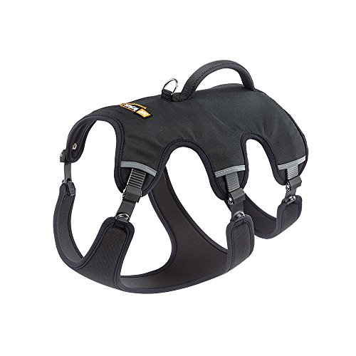 Ferplast Hundegeschirr Kleiner Hund ERGOTREKKING S Ausbruchsicheres Hundegeschirr, Greyhound, Perfekte Passform, Verstellbares Geschirr für Hunde, Reflektierend, Gepolstert, 6 Verschlüsse Ferplast Hundegeschirr Kleiner Hund ERGOTREKKING S Ausbruchsicheres Hundegeschirr, Greyhound, Perfekte Passform, Verstellbares Geschirr für Hunde, Reflektierend, Gepolstert, 6 Verschlüsse von Ferplast
