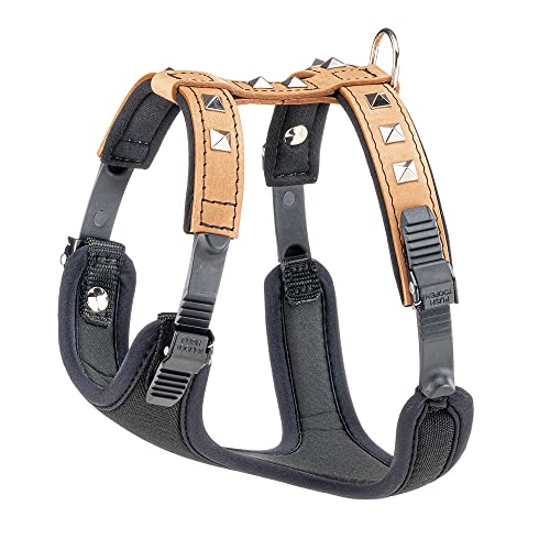 Ferplast Hundegeschirr kleine Hunde Giotto Luxor SMALL, aus echtem Leder mit silbernen Nieten, Halsumfang: 31-39 cm, Brustumfang: 44-52 cm, Beige Ferplast Hundegeschirr kleine Hunde Giotto Luxor SMALL, aus echtem Leder mit silbernen Nieten, Halsumfang: 31-39 cm, Brustumfang: 44-52 cm, Beige von Ferplast