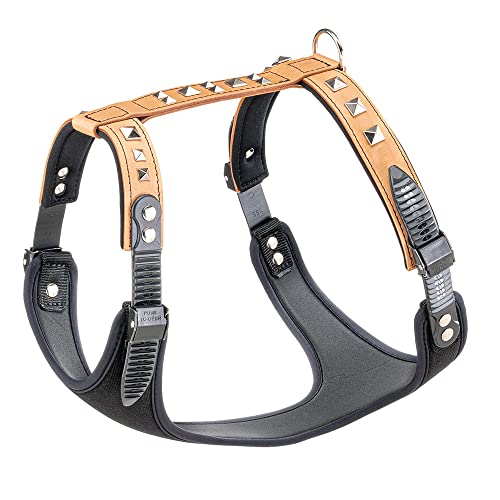 Ferplast Hundegeschirr große Hunde Giotto Luxor XL, aus echtem Leder mit silbernen Nieten, Halsumfang: 45-60 cm, Brustumfang: 70-85 cm, Beige Ferplast Hundegeschirr große Hunde Giotto Luxor XL, aus echtem Leder mit silbernen Nieten, Halsumfang: 45-60 cm, Brustumfang: 70-85 cm, Beige von Ferplast