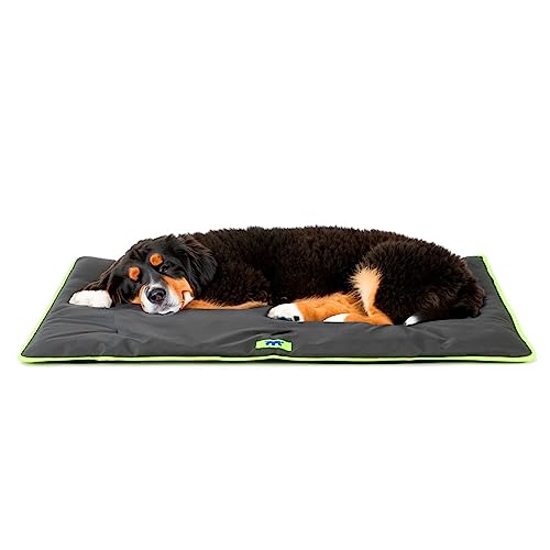 Ferplast Hundematte Extra Groß - Waschbares Hundebett - Hundekissen - Wasserdicht & Kratzfest - Matte für Hundehütten und Auto, Hundekorb - Jolly - 108 x 79 cm, XK, SCHWARZ Ferplast Hundematte Extra Groß - Waschbares Hundebett - Hundekissen - Wasserdicht & Kratzfest - Matte für Hundehütten und Auto, Hundekorb - Jolly - 108 x 79 cm, XK, SCHWARZ von Ferplast