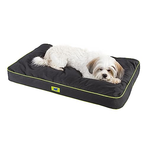Ferplast Hundematte & Katzenmatte Klein - Orthopädisches Hundebett - Hundebett Waschbar & Kratzfest - Hundekissen - Hundebett Flauschig - Herausnehmbare Polsterung -Polo- 65 x 40 x h 8 cm, S, SCHWARZ Ferplast Hundematte & Katzenmatte Klein - Orthopädisches Hundebett - Hundebett Waschbar & Kratzfest - Hundekissen - Hundebett Flauschig - Herausnehmbare Polsterung -Polo- 65 x 40 x h 8 cm, S, SCHWARZ von Ferplast