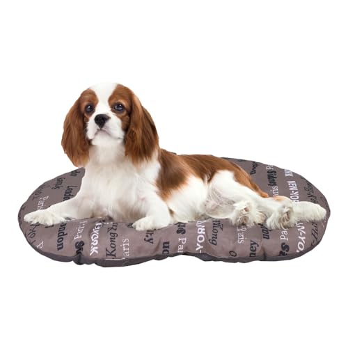 FERPLAST Hundebett & Katzenbett - Hundebett Mittel - Hundebett Waschbar - Hundekissen - Matte für Hundehütten, Zwinger und Auto - Hundebett Flauschig - Relax - 65 x 42 CM, M, BRAUN FERPLAST Hundebett & Katzenbett - Hundebett Mittel - Hundebett Waschbar - Hundekissen - Matte für Hundehütten, Zwinger und Auto - Hundebett Flauschig - Relax - 65 x 42 CM, M, BRAUN von Ferplast