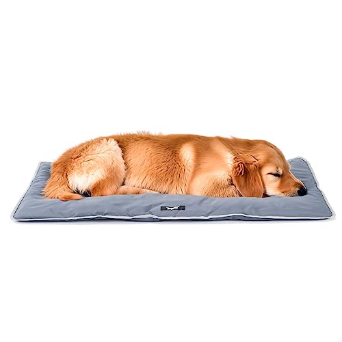 Ferplast Hundematte Groß - Waschbares Hundebett - Hundekissen - Wasserdicht & Kratzfest - Matte für Hundehütten und Auto, Hundekorb - Jolly - 98 x 65 cm, L, GRAU Ferplast Hundematte Groß - Waschbares Hundebett - Hundekissen - Wasserdicht & Kratzfest - Matte für Hundehütten und Auto, Hundekorb - Jolly - 98 x 65 cm, L, GRAU von Ferplast