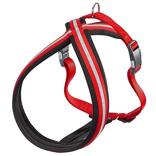 Ferplast Hundegeschirr Daytona Cross, großes Hundegeschirr aus Nylon, Hundegeschirr mit weicher Polsterung, Reflektierend und Verstellbar. Mit Magnetschnalle. Rot Ferplast Hundegeschirr Daytona Cross, großes Hundegeschirr aus Nylon, Hundegeschirr mit weicher Polsterung, Reflektierend und Verstellbar. Mit Magnetschnalle. Rot von Ferplast
