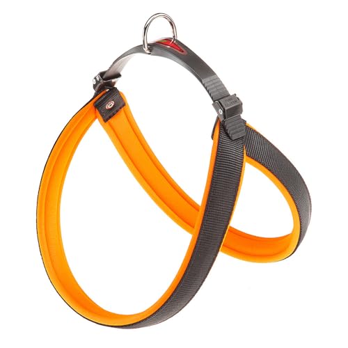 Ferplast Geschirr für mittelgroße Hunde AGILA Fluo 6 Hundegeschirr mit weicher Polsterung, Schnellverschluss und Befestigungssystem, Brustumfang 57–65 cm. Orange Ferplast Geschirr für mittelgroße Hunde AGILA Fluo 6 Hundegeschirr mit weicher Polsterung, Schnellverschluss und Befestigungssystem, Brustumfang 57–65 cm. Orange von Ferplast